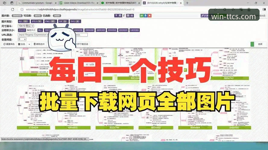 天天彩神网页版实用指南：新手必备的下载与登录技巧
